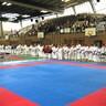 Erfolgreiche Gmundner Karateka bei den Vienna Junior Open 2006