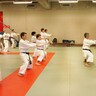 Kata & Bunkai Seminar mit Konstantin Jordanidis