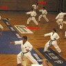 Kata- und Bunkai-Training "Gankaku" mit Konstantin Jordanidis
