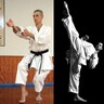 Lehrgang mit Sensei Fugazza und Sensei Azadi, Neuhofen / Krems