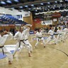 Vorführung bei der Eröffnung der Gmundner Sporthalle
