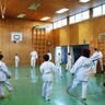 Gelbgurt-Prüfung 2011
