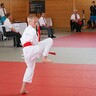 Oberösterreichische Nachwuchs- und Landesmeisterschaft 2013