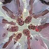 Sportunion Landesmeisterschaft
